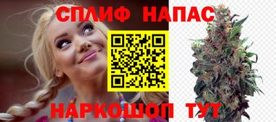 PSILOCYBIN Азнакаево