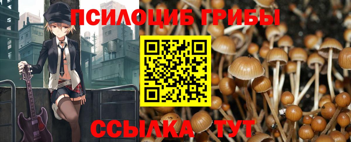Псилоцибиновые грибы прущие грибы Астрахань