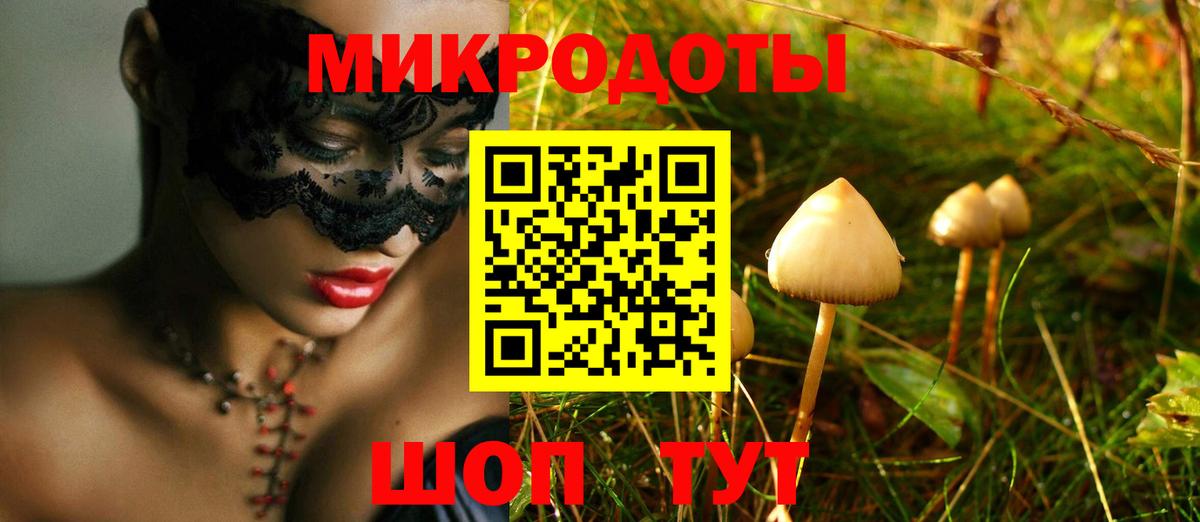 Псилоцибиновые грибы Psilocybe  Вход с VPN  Астрахань 